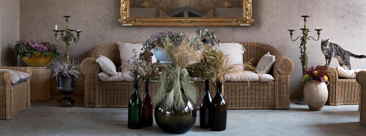 Domaine D'Egenia Villa Roussillon  Bagian luar foto