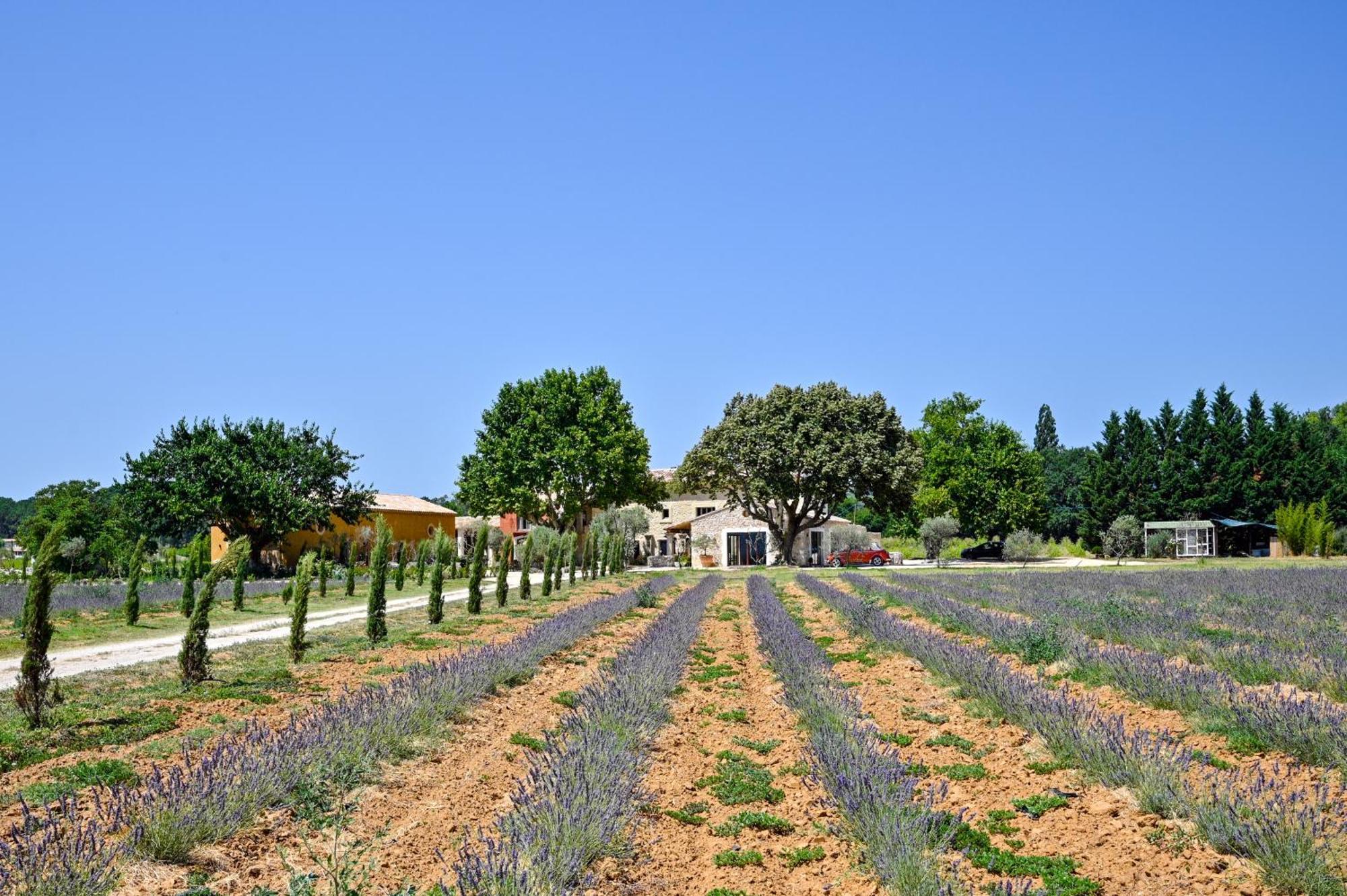 Domaine D'Egenia Villa Roussillon  Bagian luar foto