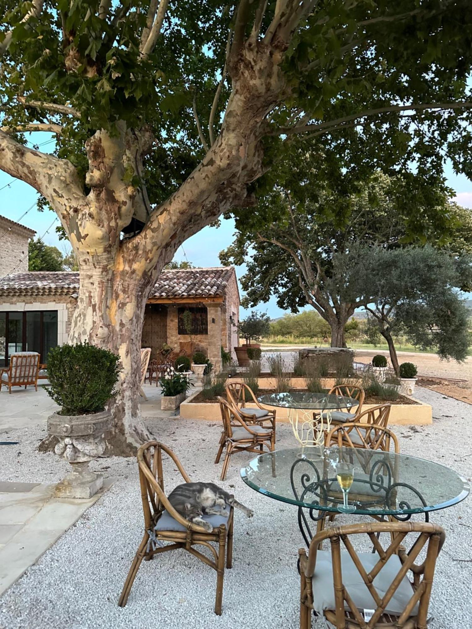 Domaine D'Egenia Villa Roussillon  Bagian luar foto
